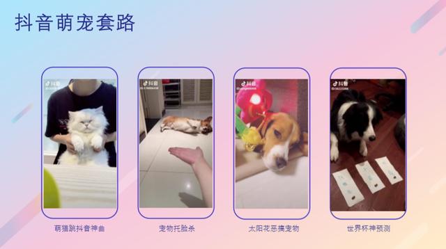 运营教程|抖音企业号内容运营攻略