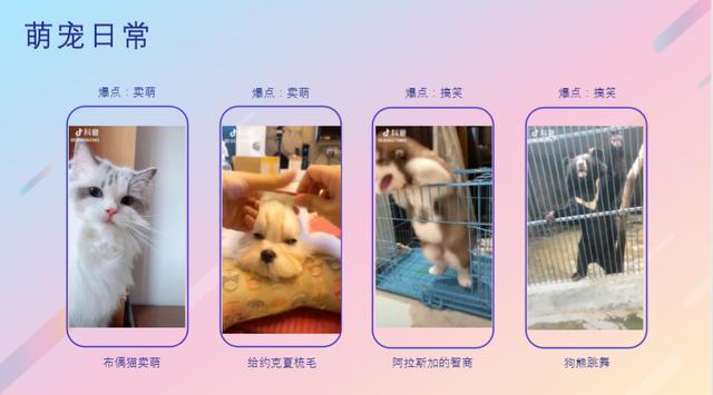运营教程|抖音企业号内容运营攻略