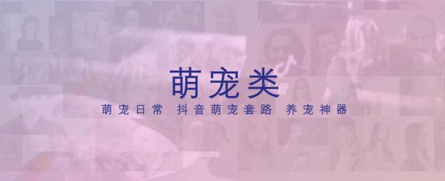运营教程|抖音企业号内容运营攻略