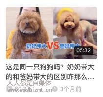 这5个爆款封面的秘密,做自媒体的你还不知道吗?