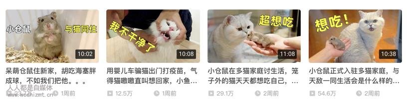 这5个爆款封面的秘密,做自媒体的你还不知道吗?
