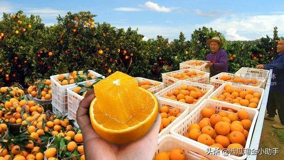 超有效的带货直播封面标题优化方法,快转发给身边的人!