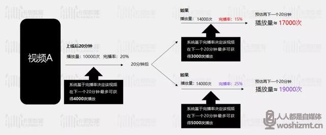 别再花冤枉钱了,Dou+应该这么投